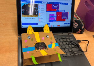 Bunny pet made using pet project guide by a kid